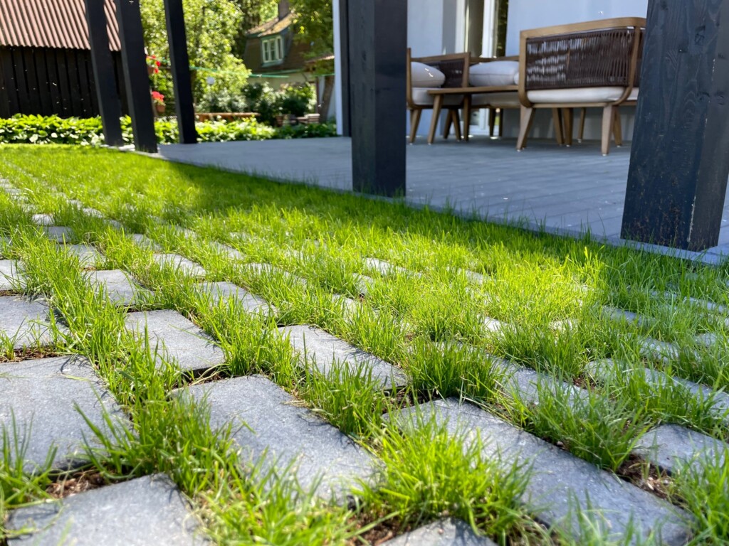 Eco Line, juoda