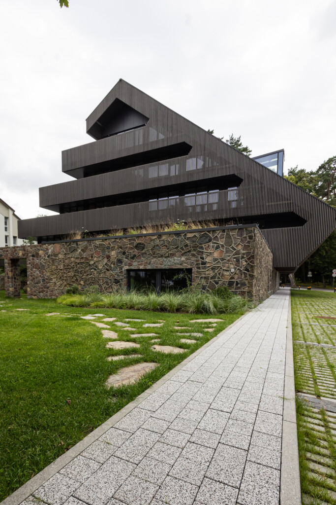 Juodrantė, Pilkopė