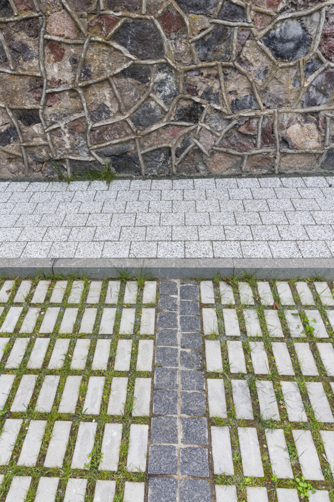 Juodrantė, Pilkopė