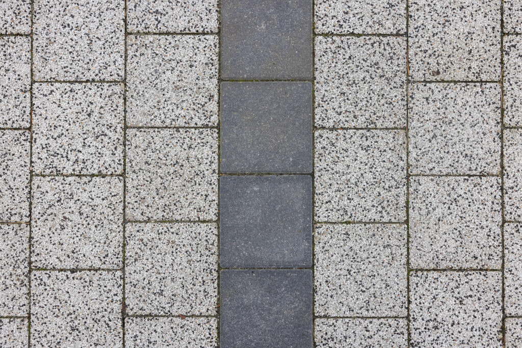 Juodrantė, Pilkopė