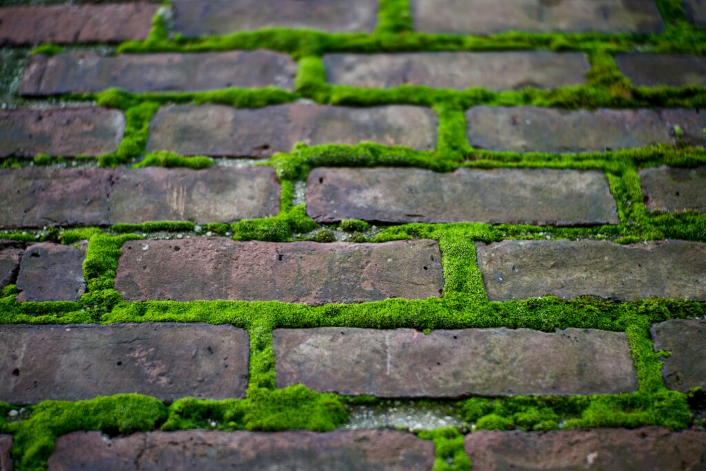 tom dils ybmvwdgkhzQ unsplash